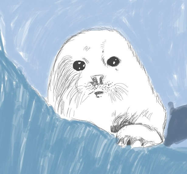 1002sealinsnow.jpg